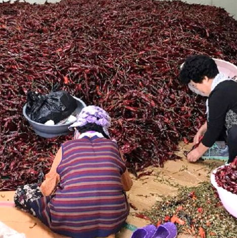 국산 반태양초 고춧가루 500g