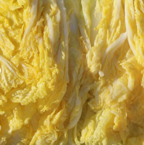 유기농 친환경 HACCP 절임배추 10kg