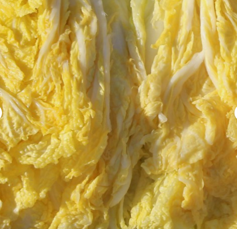 유기농 친환경 HACCP 절임배추 20kg
